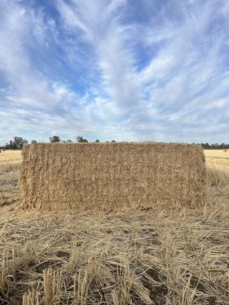 200mt Wheaten Straw 8x4x3 Bales