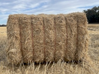 200mt Wheaten Straw 8x4x3 Bales