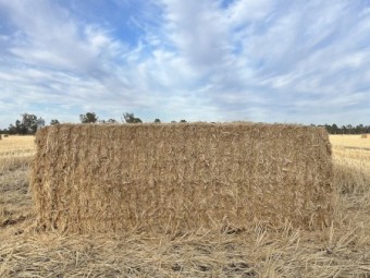 200mt Wheaten Straw 8x4x3 Bales