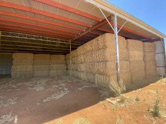 Barley Straw 460kg 8x4x3 Bales (New Season 22/23)