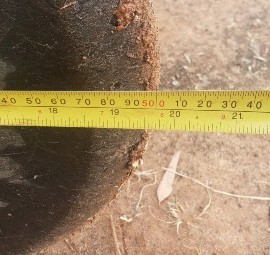 Presswheels