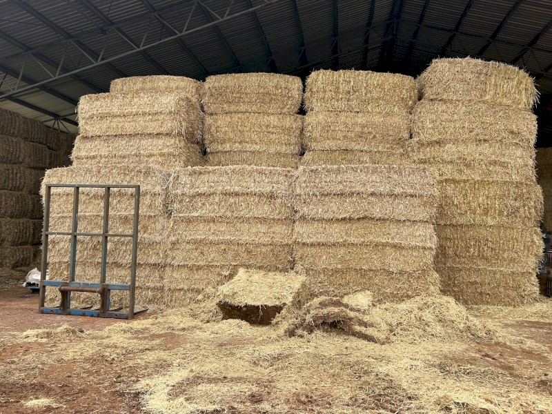 200mt Barley Straw 400-460kg 8x4x3 Bales