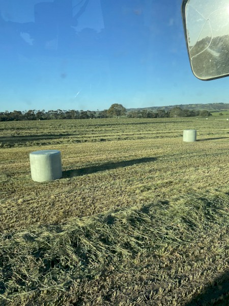 Silage