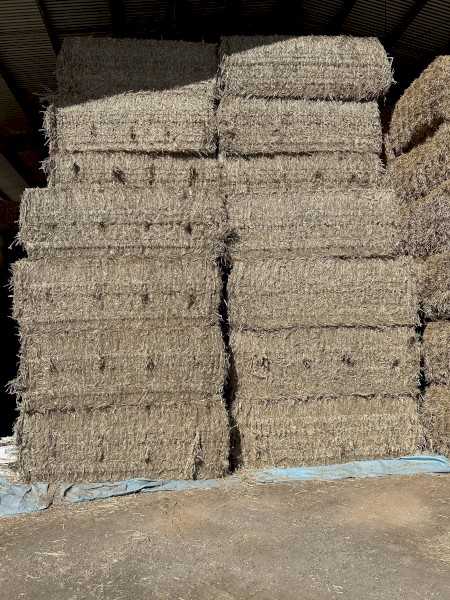 225mt Wheaten Straw 8x4x3 Bales