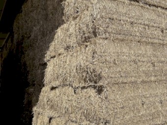 225mt Wheaten Straw 8x4x3 Bales