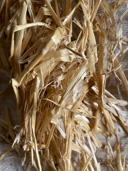 2019 windrowed barley straw 