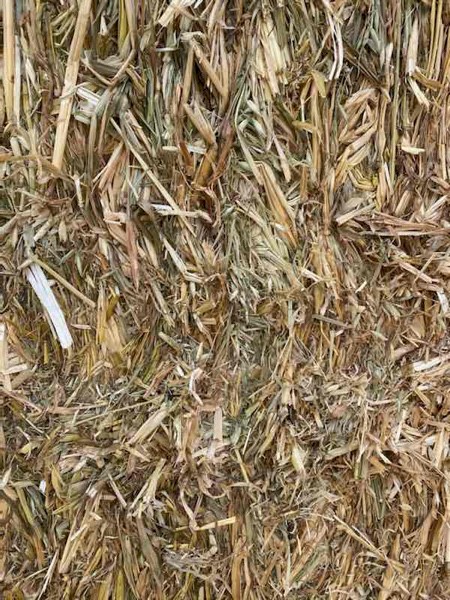 Oaten Hay