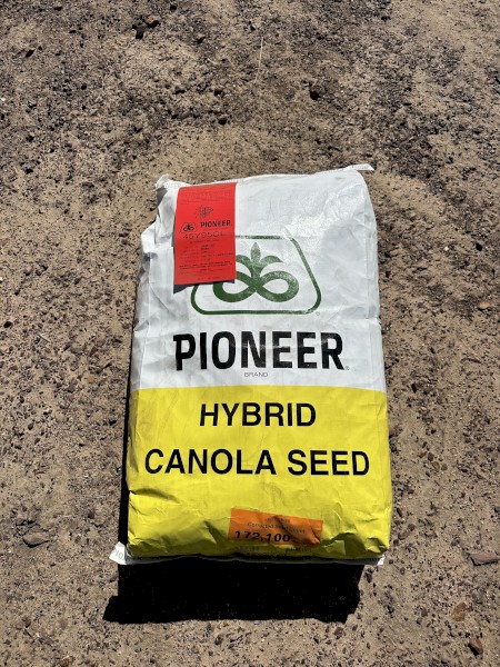 Canola Seed Pioneer 45Y95CL