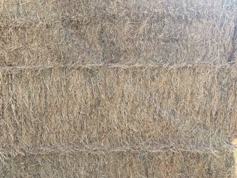 8x4x3 Lucerne Hay