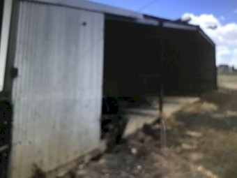 shed