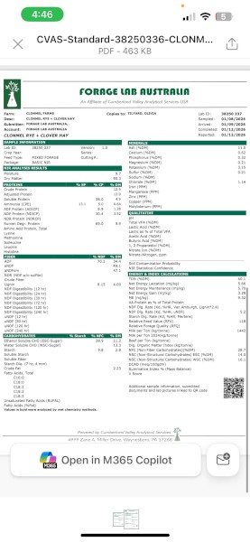 60mt Rye & Clover hay 8x4x3 bales