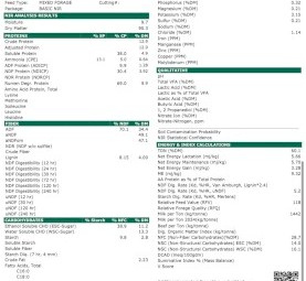 60mt Rye & Clover hay 8x4x3 bales