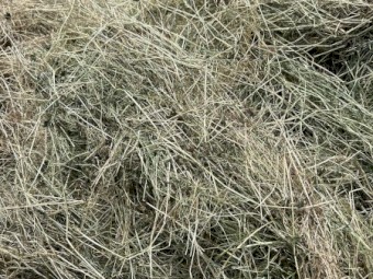 60mt Rye & Clover hay 8x4x3 bales