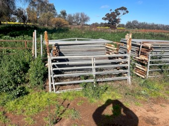 Sheep Yards 6 Rail