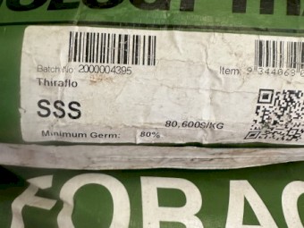 SSS Hybrid Forage Sorghum Seed