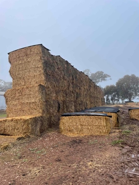 Oaten Squares 8x4x3