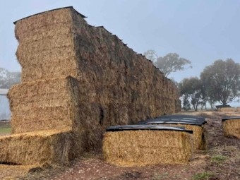 Oaten Squares 8x4x3