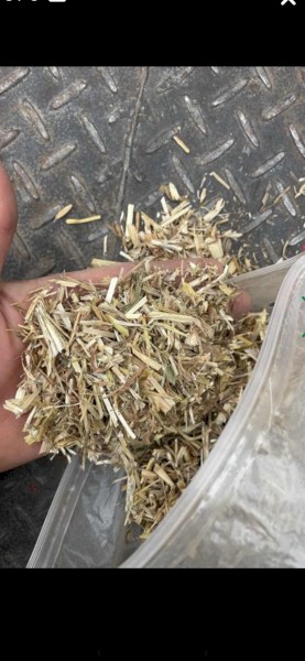 Oaten Hay
