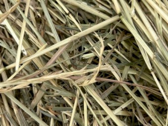 100 x Ryegrass Hay 5x4 Rolls