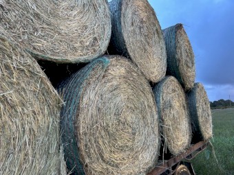 100 x Ryegrass Hay 5x4 Rolls