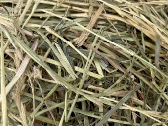 100 x Ryegrass Hay 5x4 Rolls