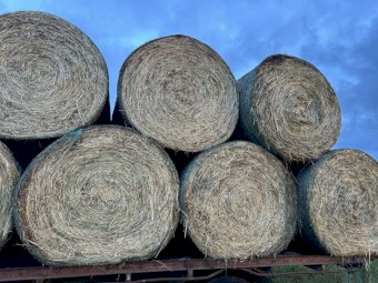 100 x Ryegrass Hay 5x4 Rolls