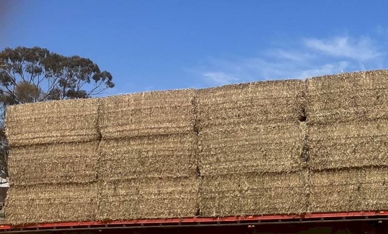 Vetch Hay 2023/24 Season