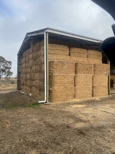 90mt Oaten Straw 8x4x3 Bales
