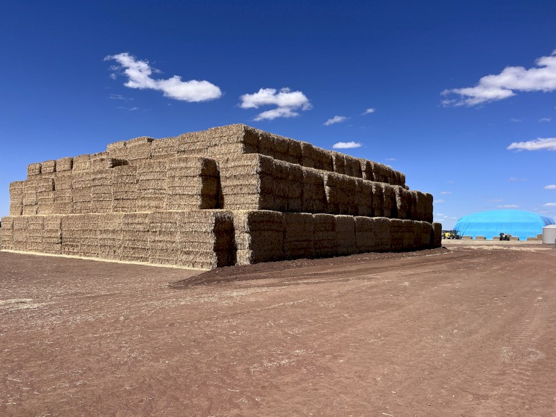 1000mt Wheaten Hay 670kg 8x4x3 Bales