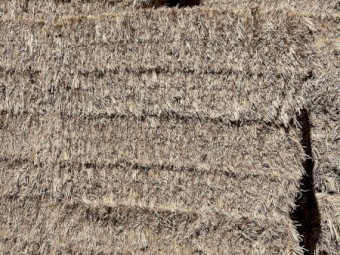 1000mt Wheaten Hay 670kg 8x4x3 Bales