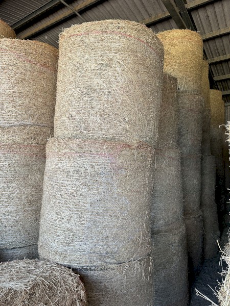 Lucerne 4x4 Rounds 3rd Cut