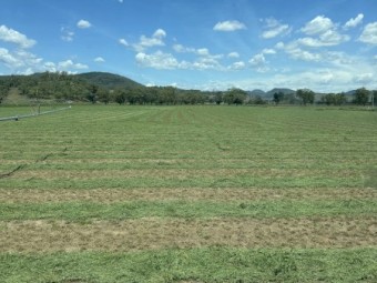 Lucerne 4x4 Rounds 3rd Cut