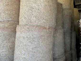 Lucerne 4x4 Rounds 3rd Cut
