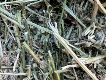 Lucerne 4x4 Rounds 3rd Cut