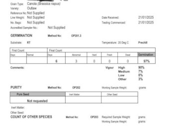 Outlaw Canola Seed