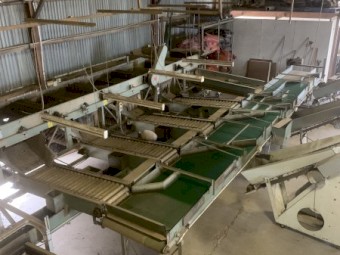 EDP vegetable sorting and packing line