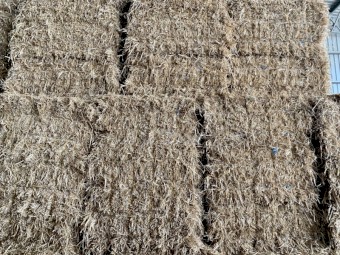 Barley straw header tailings in Bale Baron packs 