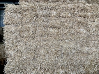 Barley straw header tailings in Bale Baron packs 