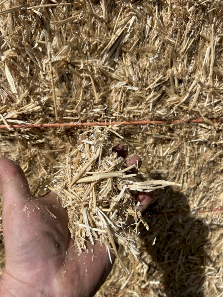 wheaten straw / chaff trails 