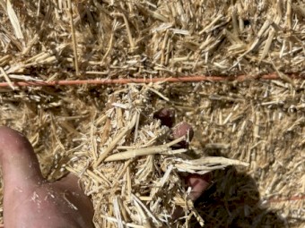wheaten straw / chaff trails 