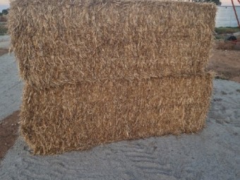 120 x Oaten Straw 8x4x3 Bales