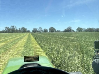 150mt Clover/Wheaten/Rye Hay 8x4x3 Bales