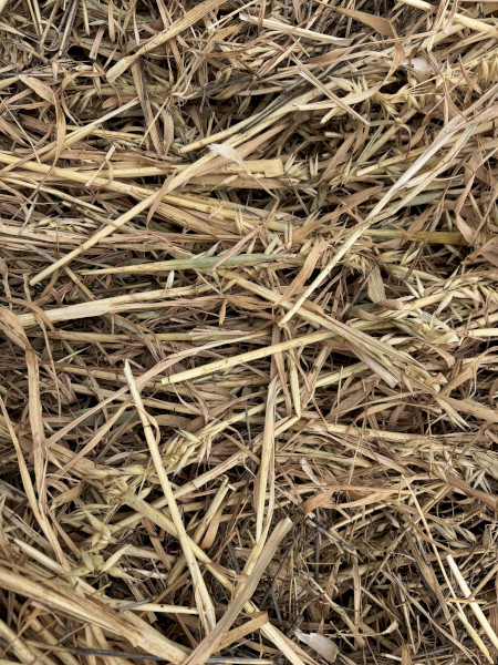oaten Hay