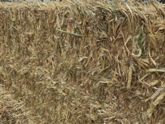 oaten Hay