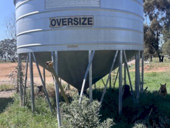 Field Bin