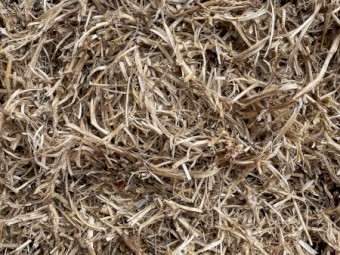 Pea Straw - Small Squares