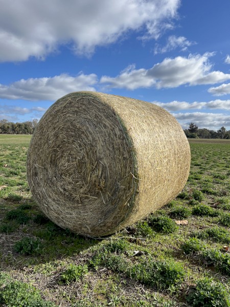 Silage