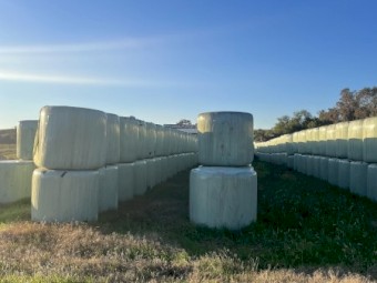 Silage