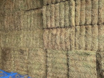 200mt Vetch Hay 8x4x3 Bales