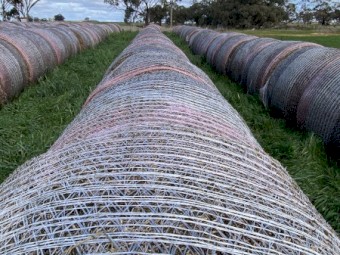 Vetch Hay - 100 rolls